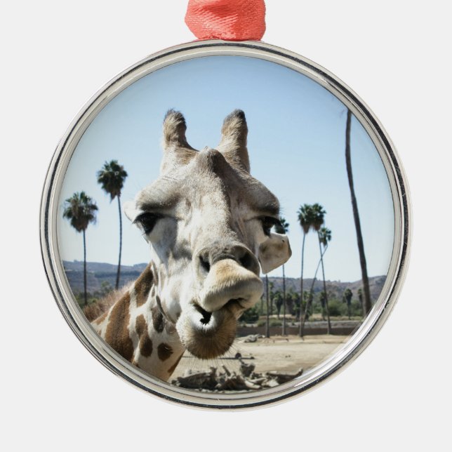 San Diego Zoo Ornament Aus Metall (Vorne)