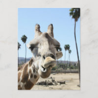 San Diego Zoo