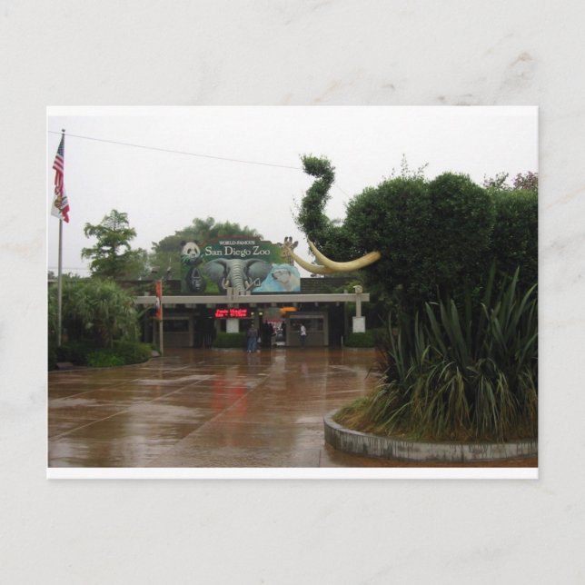 San Diego Zoo Postkarte (Vorderseite)