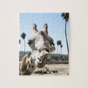 San Diego Zoo Puzzle