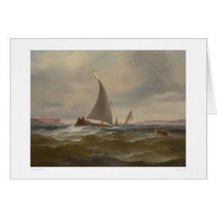 San Francisco Bay Felluca (1314)