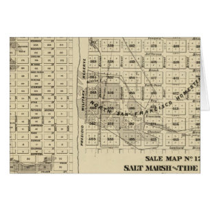 San Francisco Bay Salt Marsch 2