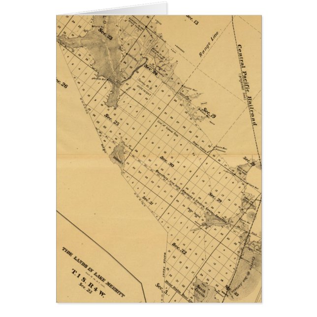 San Francisco Bay Salt Marsh (Vorne)