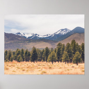 San Francisco Berge Poster