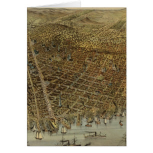 San Francisco Birds Blickansicht