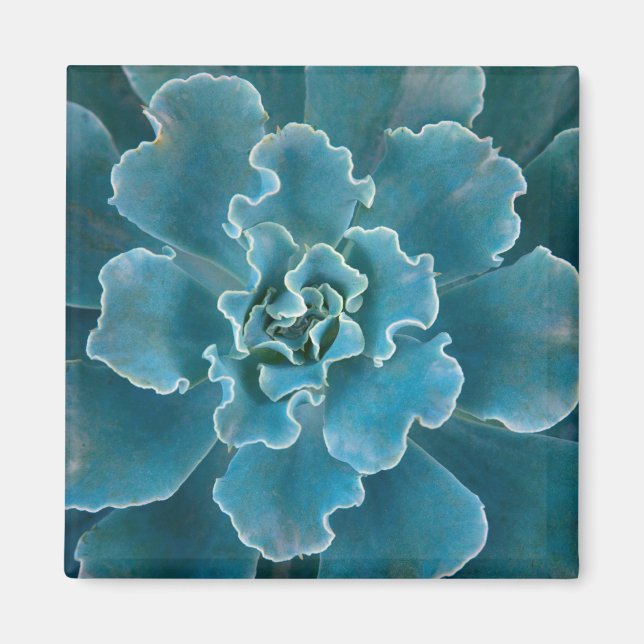 San Francisco Californias Golden Gate Park und Magnet (Vorne)