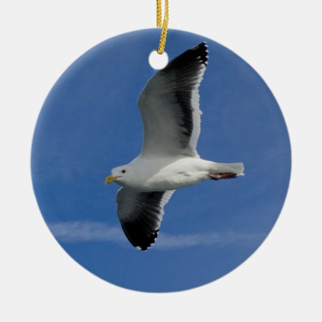 San Francisco Gull Keramik Ornament (Vorne)