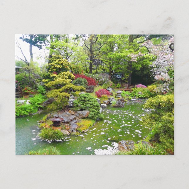 San Francisco Japanese Tea Garden #11 Postcard Postkarte (Vorderseite)