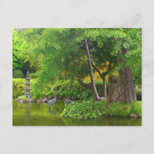 San Francisco Japanese Tea Garden Pond #4 Postcard Postkarte