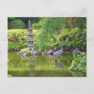 San Francisco Japanese Tea Garden Pond #5 Postcard Postkarte