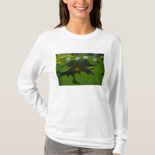 San Francisco Kaliforniens Golden Gate Park und T-Shirt