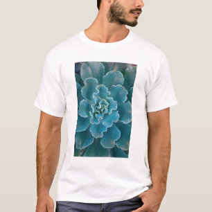 San Francisco Kaliforniens Golden Gate Park und T-Shirt