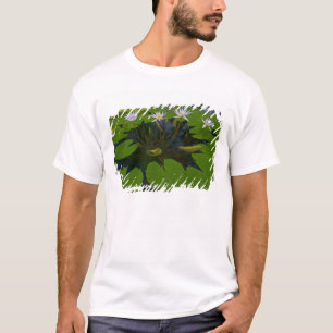 San Francisco Kaliforniens Golden Gate Park und T-Shirt