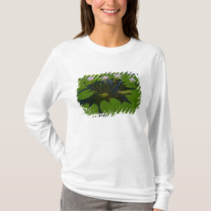 San Francisco Kaliforniens Golden Gate Park und T-Shirt