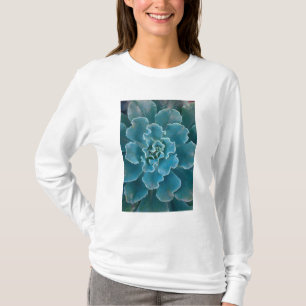 San Francisco Kaliforniens Golden Gate Park und T-Shirt