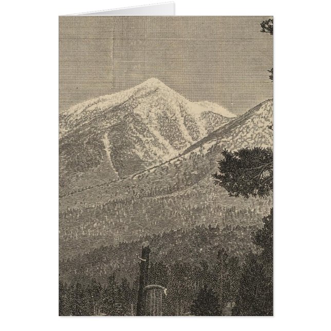 San Francisco Peak (Vorne)