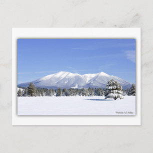 San Francisco Peaks im Schnee Postkarte