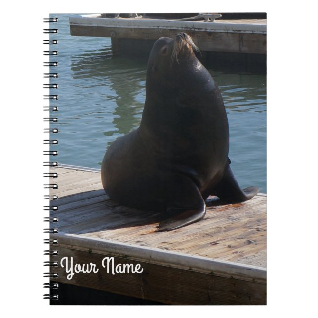 San Francisco Pier 39 Sea Lion #3-2 Notebook Notizblock (Vorderseite)