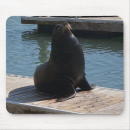 San Francisco Pier 39 Sea Lions #3-2 Mouse Pad Mousepad