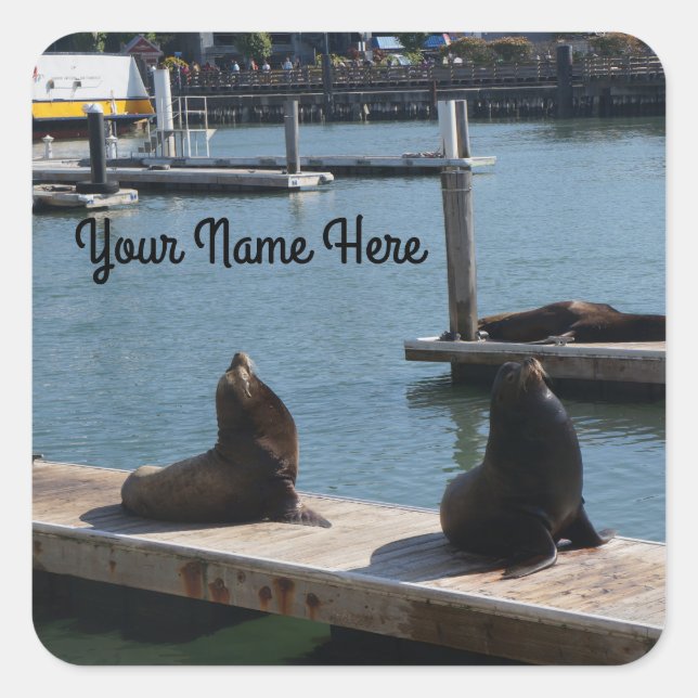 San Francisco Pier 39 Sea Lions #3 Stickers (Vorderseite)