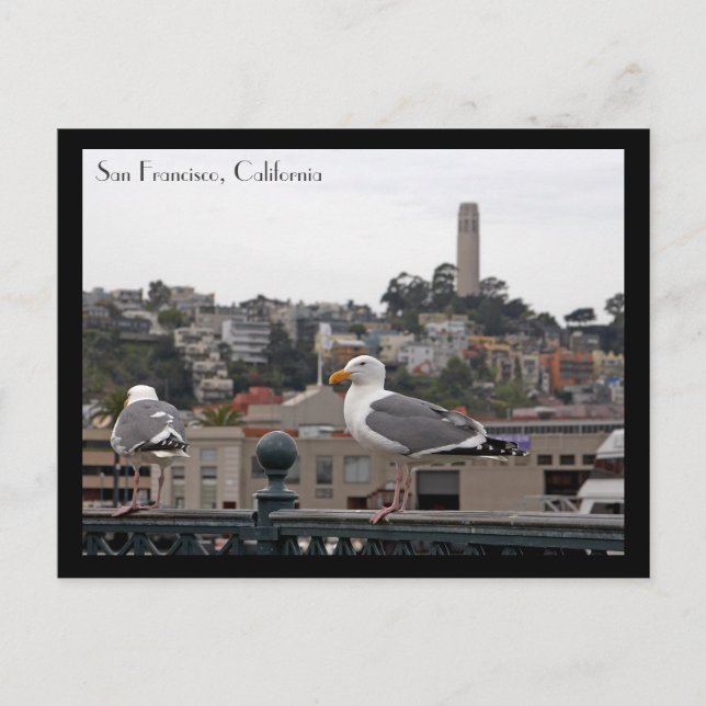San Francisco Postcard Postkarte (Vorderseite)