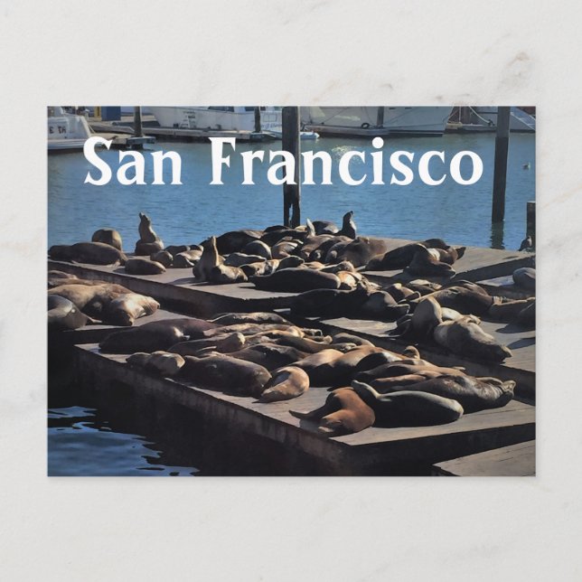 San Francisco Postcard Postkarte (Vorderseite)