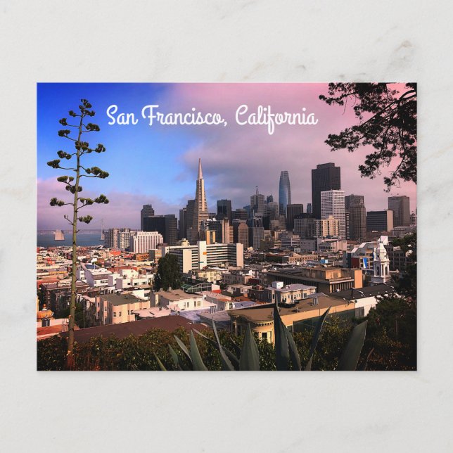 San Francisco Skyline #12 Postcard Postkarte (Vorderseite)