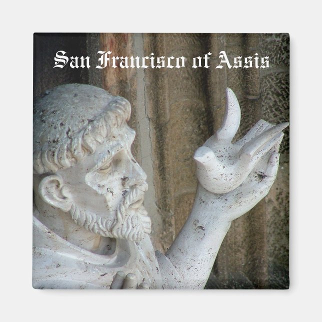 San Francisco und die Taube Magnet (Vorne)