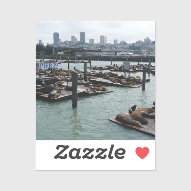 San Francisco und Pier 39 Sea Lions City Skyline Aufkleber (Blatt)