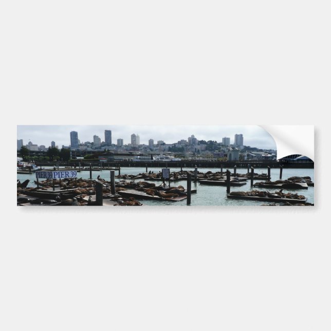 San Francisco und Pier 39 Sea Lions City Skyline Autoaufkleber (Vorne)