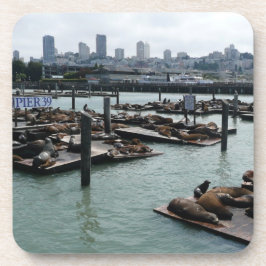 San Francisco und Pier 39 Sea Lions City Skyline Getränkeuntersetzer