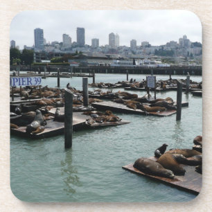 San Francisco und Pier 39 Sea Lions City Skyline Getränkeuntersetzer
