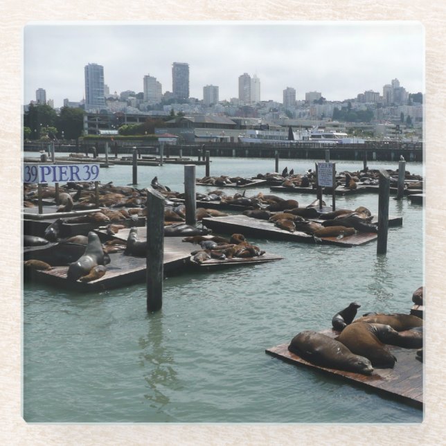 San Francisco und Pier 39 Sea Lions City Skyline Glasuntersetzer (Vorderseite)