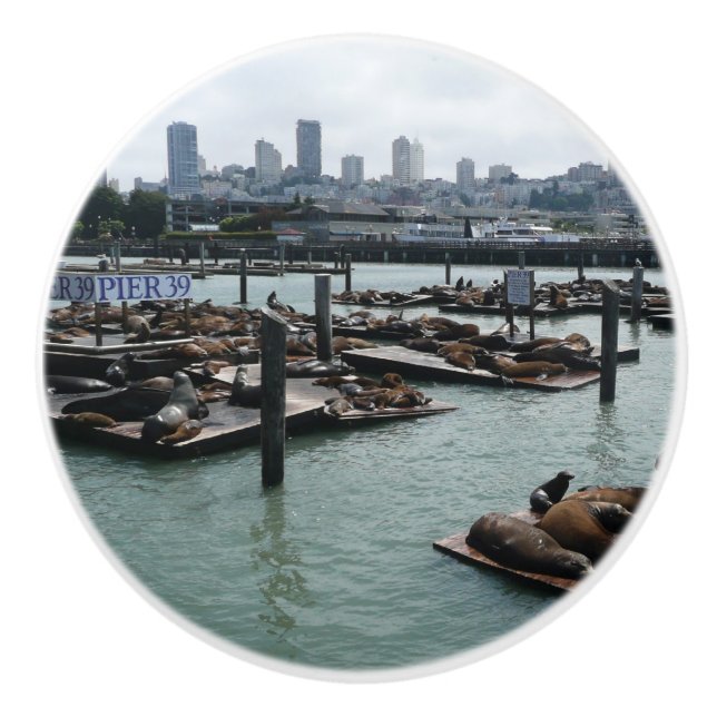 San Francisco und Pier 39 Sea Lions City Skyline Keramikknauf (Vorderseite)