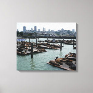 San Francisco und Pier 39 Sea Lions City Skyline Leinwanddruck