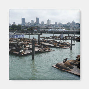 San Francisco und Pier 39 Sea Lions City Skyline Magnet