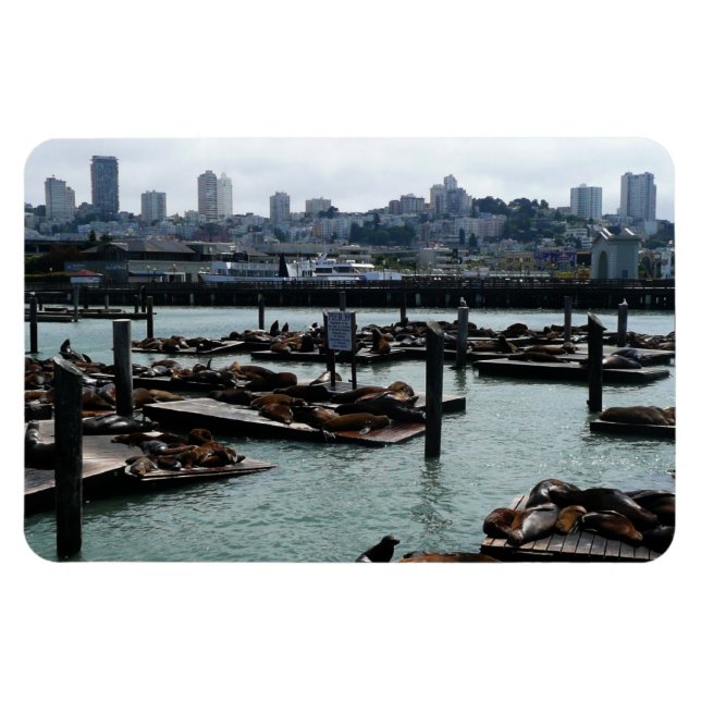 San Francisco und Pier 39 Sea Lions City Skyline Magnet (Horizontal)