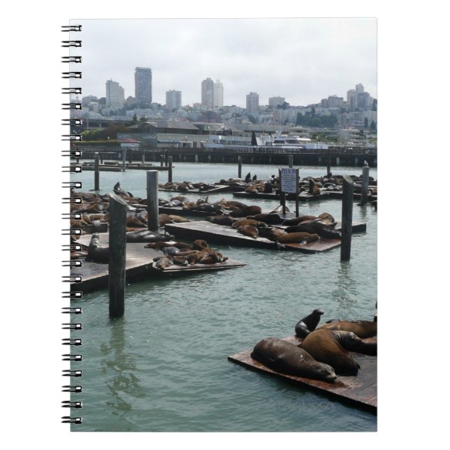 San Francisco und Pier 39 Sea Lions City Skyline Notizblock (Vorderseite)