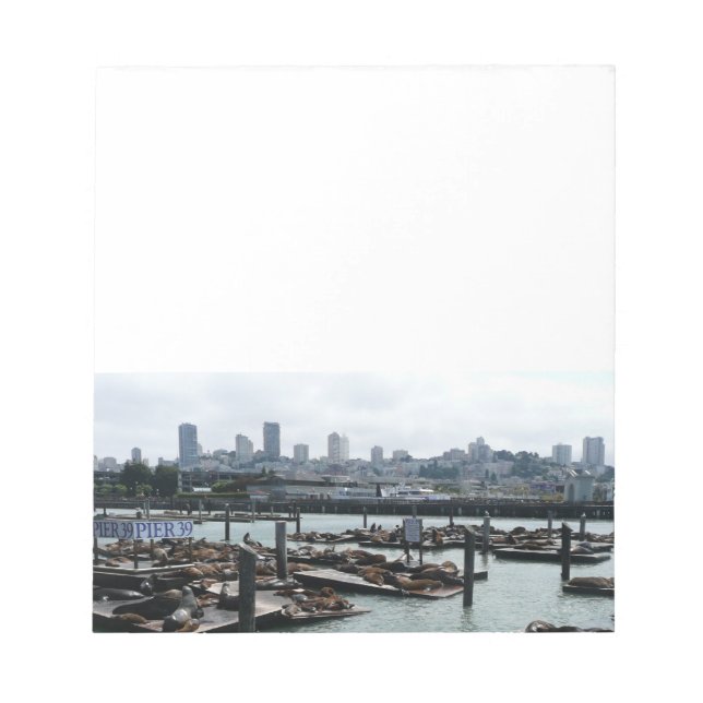 San Francisco und Pier 39 Sea Lions City Skyline Notizblock (Vorderseite)