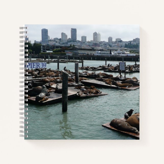 San Francisco und Pier 39 Sea Lions City Skyline Notizbuch (Vorderseite)