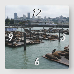 San Francisco und Pier 39 Sea Lions City Skyline Quadratische Wanduhr