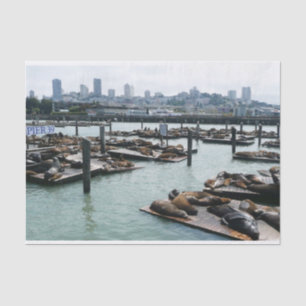 San Francisco und Pier 39 Sea Lions City Skyline Seidenpapier