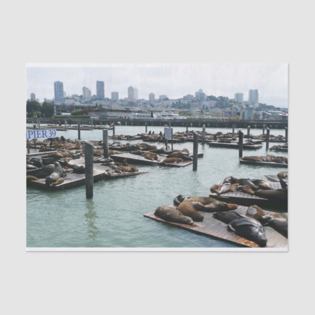 San Francisco und Pier 39 Sea Lions City Skyline Seidenpapier (Vorderseite)