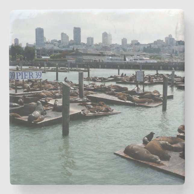 San Francisco und Pier 39 Sea Lions City Skyline Steinuntersetzer (Vorderseite)