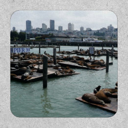 San Francisco und Pier 39 Seelöwen Stadt Skyline