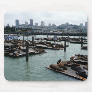 San Francisco und Pier 39 Seelöwen Stadt Skyline Mousepad