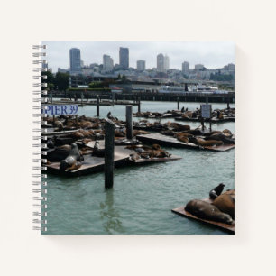 San Francisco und Pier 39 Seelöwen Stadt Skyline Notizbuch
