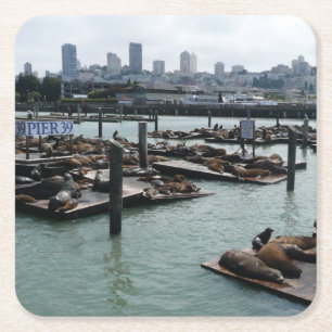 San Francisco und Pier 39 Seelöwen Stadt Skyline Rechteckiger Pappuntersetzer