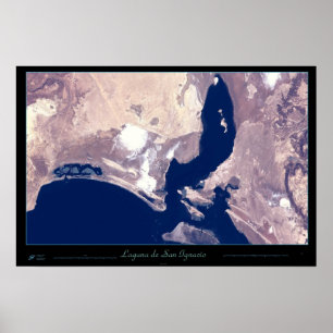 San Ignacio Lagoon, Baja CA Sur, Mexiko-Poster Poster