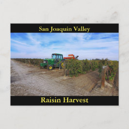 San Joaquin Valley Raisin Harvest Postkarte